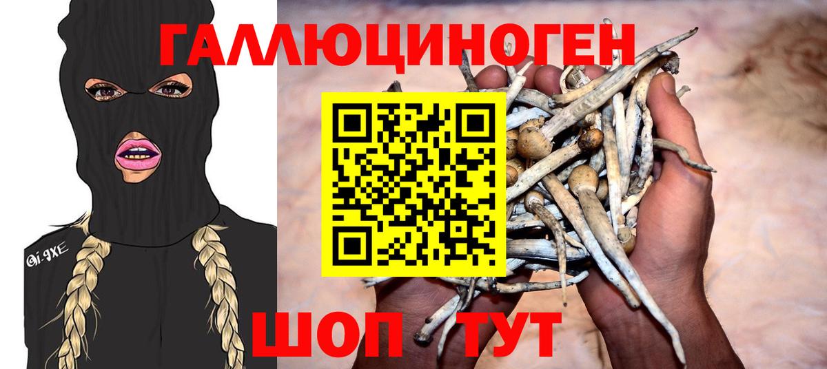 Псилоцибиновые грибы Magic Shrooms  Вход с VPN  Нефтекумск 